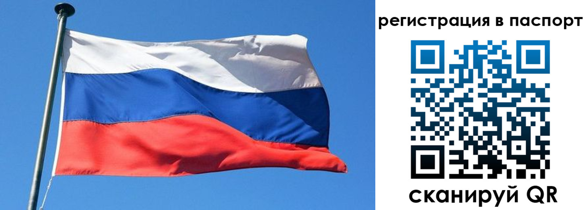 прописка поиск в Электростали